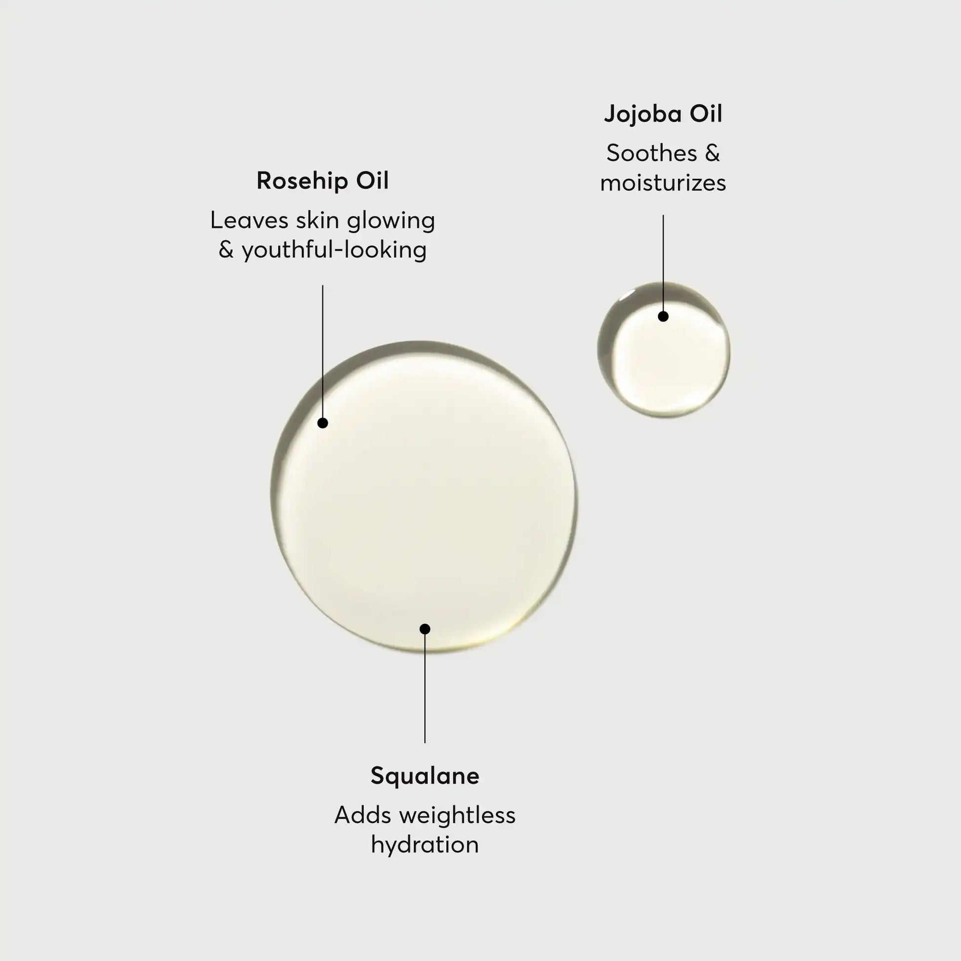 the-glow-getter-body-oil-d0 NATR-10115-Alt-Images-The-Glow-Getter-Body-Oil-01.webp