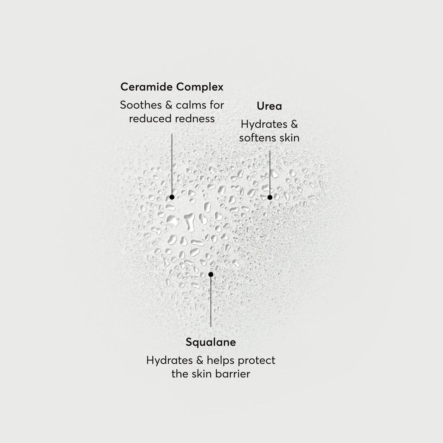 barrier-bounce-bi-phase-mist-z2 NATR-10167-Alt-Images-Barrier-Bounce-Bi-Phase-Toner-Mist_01.webp