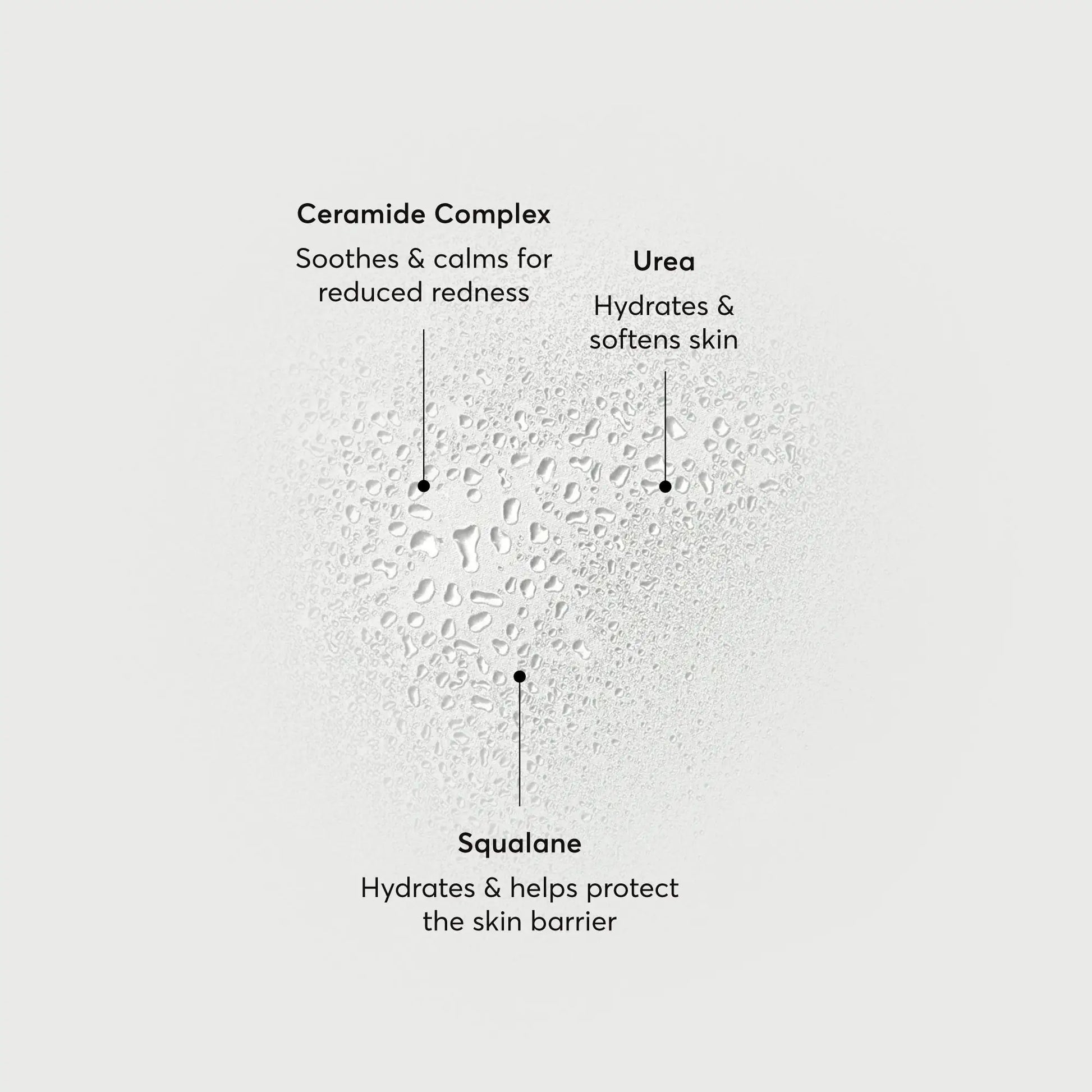 barrier-bounce-bi-phase-mist-z2 NATR-10167-Alt-Images-Barrier-Bounce-Bi-Phase-Toner-Mist_01.webp