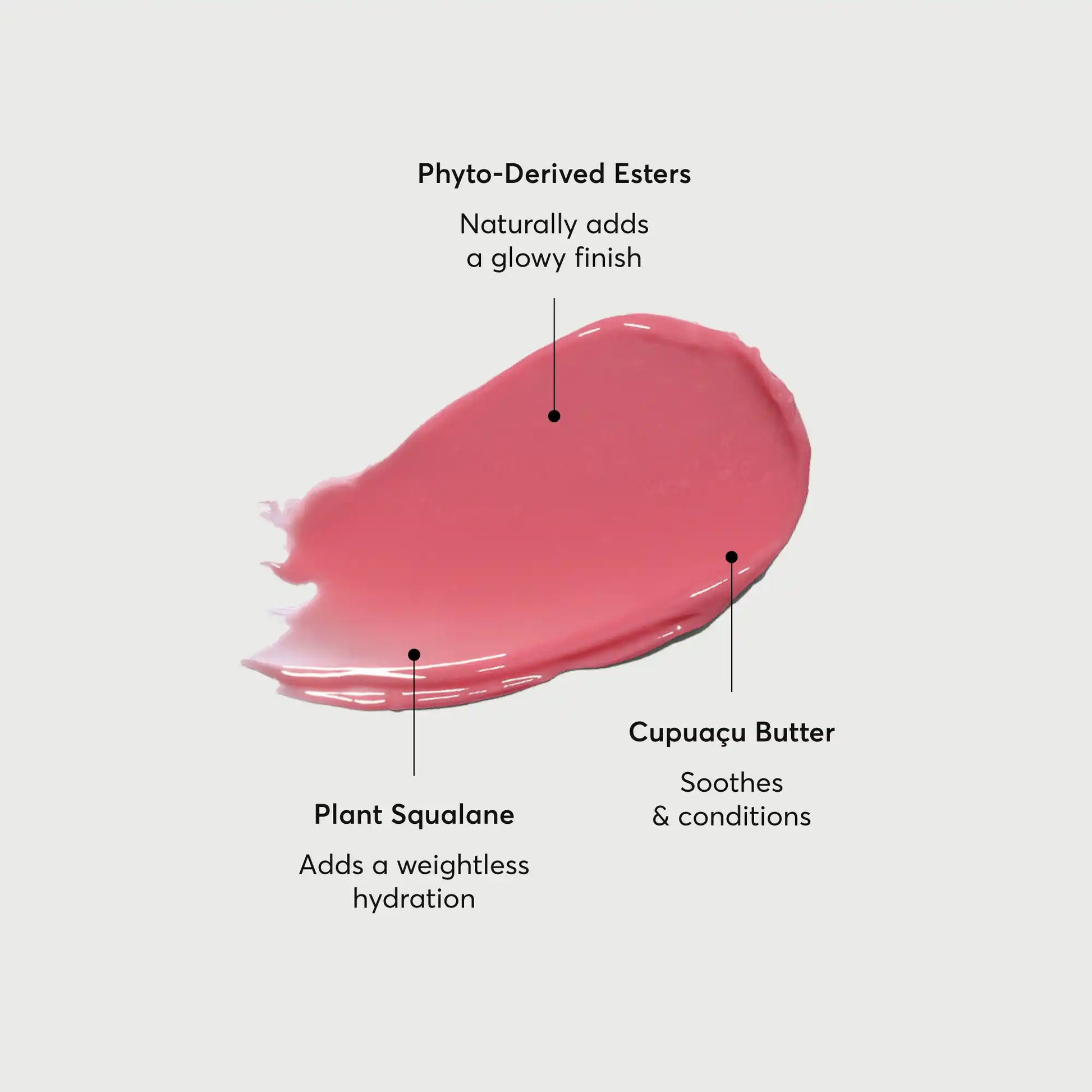 phyto-glow-lip-balm-petal-b2 NATR-60067-Alt-Images-Phyto-Glow-Lip-Balm-Petal-01.webp