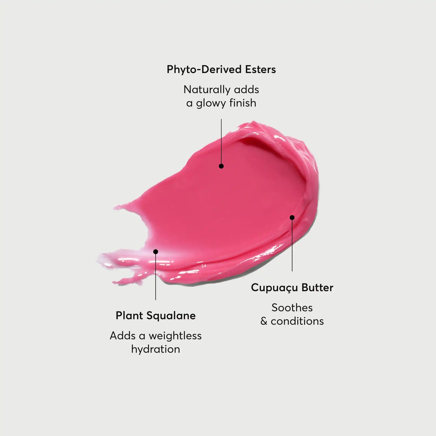 phyto-glow-lip-balm-camellia-m9 NATR-60075-Alt-Images-Phyto-Glow-Lip-Balm-Camellia-01.webp